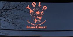 YOLO You Only Live Once Sometimes Zombie Funny Car or Truck Window Decal Sticker (Coral)