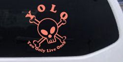 YOLO You Only Live Once Cute Skull Skulls Car or Truck Window Decal Sticker (Coral)