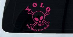 YOLO You Only Live Once Cute Skull Skulls Car or Truck Window Decal Sticker (Hot Pink)
