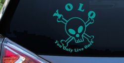 YOLO You Only Live Once Cute Skull Skulls Car or Truck Window Decal Sticker (Turquoise)