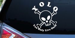 YOLO You Only Live Once Cute Skull Skulls Car or Truck Window Decal Sticker