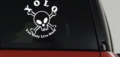 YOLO You Only Live Once Cute Skull Skulls Car or Truck Window Vinyl Decal Sticker