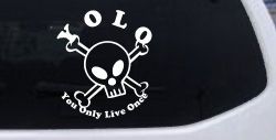 YOLO You Only Live Once Cute Skull Skulls Car or Truck Window Decal Sticker