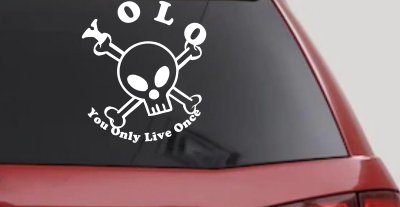 YOLO You Only Live Once Cute Skull Skulls Car or Truck Window Vinyl Decal Sticker
