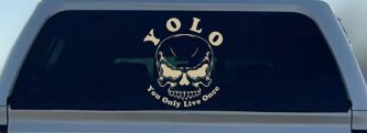 YOLO You Only Live Once Mean Skull Skulls Car or Truck Window Vinyl Decal Sticker (Desert Sand)