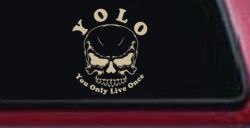 YOLO You Only Live Once Mean Skull Skulls Car or Truck Window Vinyl Decal Sticker (Desert Sand)
