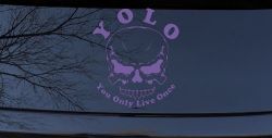 YOLO You Only Live Once Mean Skull Skulls Car or Truck Window Decal Sticker (Purple)
