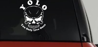 YOLO You Only Live Once Mean Skull Skulls Car or Truck Window Vinyl Decal Sticker
