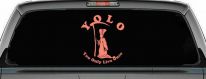 YOLO You Only Live Once Grim Reaper Funny Car or Truck Window Decal Sticker (Coral)