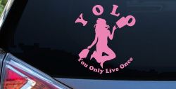 YOLO You Only Live Once Shopping Car or Truck Window Decal Sticker (Pink)