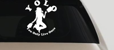 YOLO You Only Live Once Shopping Car or Truck Window Vinyl Decal Sticker