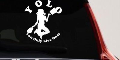 YOLO You Only Live Once Shopping Car or Truck Window Vinyl Decal Sticker