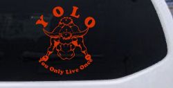 YOLO You Only Live Once Big Bull Western Rodeo Ranch Farm Car or Truck Window Decal Sticker (Orange Red)