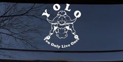 YOLO You Only Live Once Big Bull Western Rodeo Ranch Farm Car or Truck Window Decal Sticker