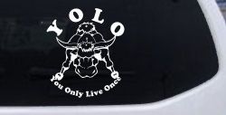 YOLO You Only Live Once Big Bull Western Rodeo Ranch Farm Car or Truck Window Decal Sticker