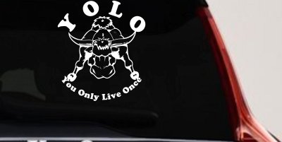 YOLO You Only Live Once Big Bull Western Rodeo Ranch Farm Car or Truck Window Vinyl Decal Sticker