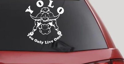 YOLO You Only Live Once Big Bull Western Rodeo Ranch Farm Car or Truck Window Vinyl Decal Sticker
