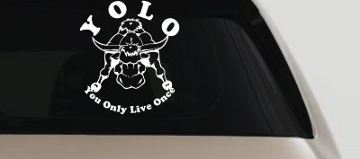 YOLO You Only Live Once Big Bull Western Rodeo Ranch Farm Car or Truck Window Vinyl Decal Sticker