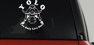 YOLO You Only Live Once Big Bull Western Rodeo Ranch Farm Car or Truck Window Vinyl Decal Sticker