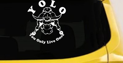 YOLO You Only Live Once Big Bull Western Rodeo Ranch Farm Car or Truck Window Vinyl Decal Sticker