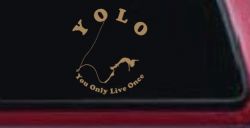 YOLO You Only Live Once Bungie Jump Car or Truck Window Decal Sticker (Light Brown)