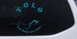 YOLO You Only Live Once Bungie Jump Car or Truck Window Decal Sticker (Turquoise Blue)