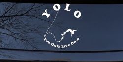 YOLO You Only Live Once Bungie Jump Car or Truck Window Decal Sticker