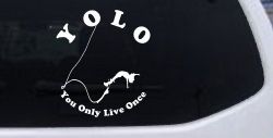 YOLO You Only Live Once Bungie Jump Car or Truck Window Decal Sticker