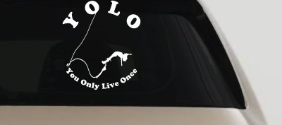 YOLO You Only Live Once Bungie Jump Car or Truck Window Vinyl Decal Sticker