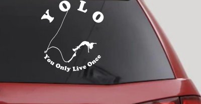 YOLO You Only Live Once Bungie Jump Car or Truck Window Vinyl Decal Sticker