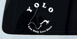 YOLO You Only Live Once Bungie Jump Car or Truck Window Decal Sticker