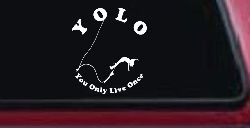 YOLO You Only Live Once Bungie Jump Car or Truck Window Decal Sticker