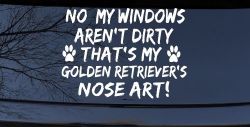 My Windows Arent Dirty Golden Retriever Dog Car or Truck Window Decal Sticker