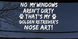 My Windows Arent Dirty Golden Retriever Dog Car or Truck Window Decal Sticker