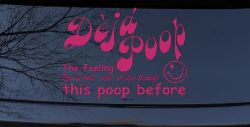 Funny Deja Poop Done this Poop Before Funny Car or Truck Window Decal Sticker (Hot Pink)