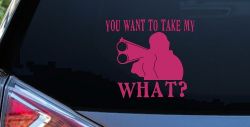 You Want To Take My What 2nd Amendment Rights Country Car or Truck Window Decal Sticker (Hot Pink)
