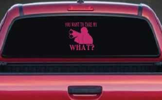 You Want To Take My What 2nd Amendment Rights Country Car or Truck Window Vinyl Decal Sticker (Hot Pink)