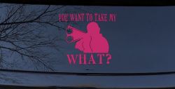 You Want To Take My What 2nd Amendment Rights Country Car or Truck Window Decal Sticker (Hot Pink)