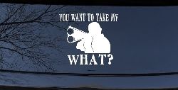 You Want To Take My What 2nd Amendment Rights Country Car or Truck Window Decal Sticker