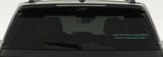 Life Ain't Always Beautiful But It's A Beautiful Ride Car or Truck Window Decal Sticker (Mint)