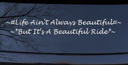 Life Ain't Always Beautiful But It's A Beautiful Ride Car or Truck Window Decal Sticker