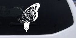 Butterfly On Small Flower Butterflies Car or Truck Window Decal Sticker