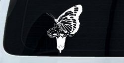Butterfly On Small Flower Butterflies Car or Truck Window Decal Sticker