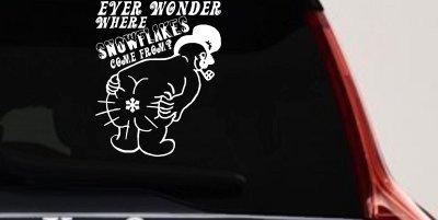 Where Snowflakes Come From Funny Car or Truck Window Vinyl Decal Sticker