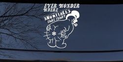 Where Snowflakes Come From Funny Car or Truck Window Decal Sticker