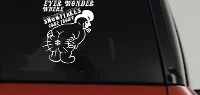 Where Snowflakes Come From Funny Car or Truck Window Vinyl Decal Sticker