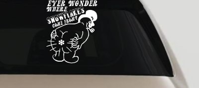 Where Snowflakes Come From Funny Car or Truck Window Vinyl Decal Sticker