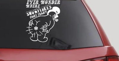 Where Snowflakes Come From Funny Car or Truck Window Vinyl Decal Sticker