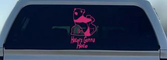 Haters Gonna Hate Panda Funny Car or Truck Window Vinyl Decal Sticker (Hot Pink)