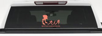 My AT ST Doesn't Care About Your Stick Family Car or Truck Window Decal Sticker (Coral)